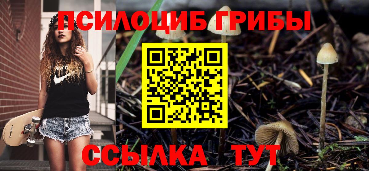 Галлюциногенные грибы Magic Shrooms Семилуки