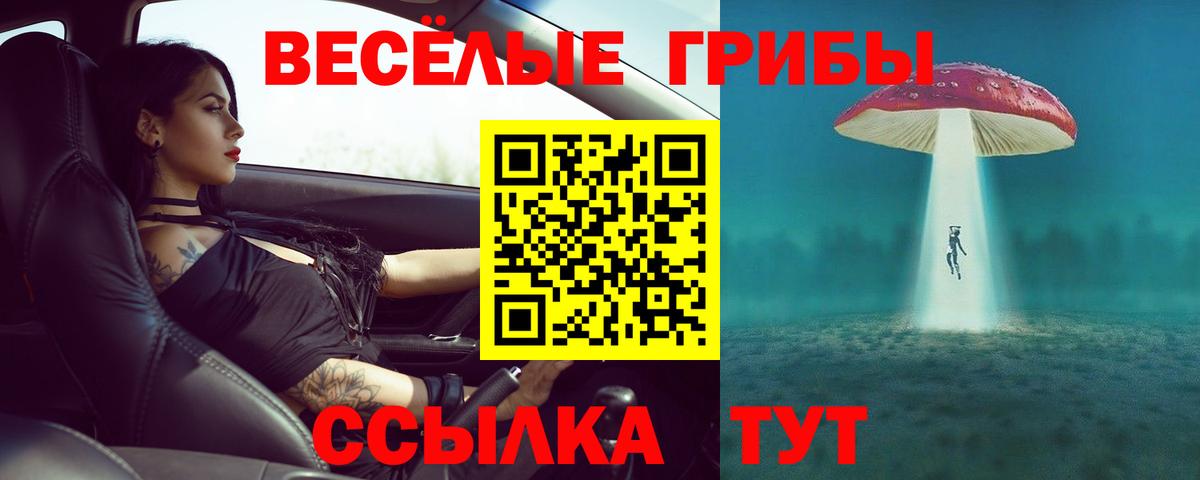 Галлюциногенные грибы прущие грибы  Вход с VPN  Семилуки  Галлюциногенные грибы Psilocybe 
