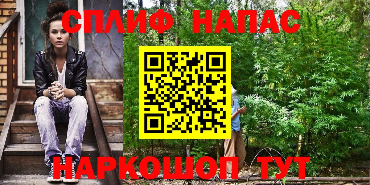 Семилуки  Конопля планчик  Бошки Шишки OG Kush  Каннабис сатива  Вход с VPN 